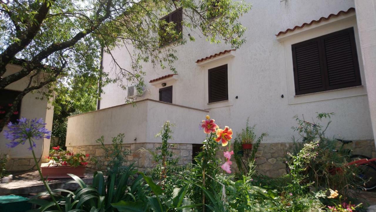 Apartman Dino Tar-Vabriga Exteriér fotografie